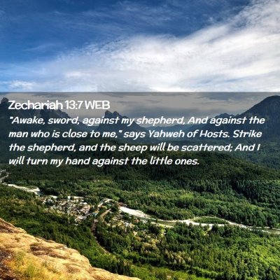 Picture 02 - Zechariah 13:7 WEB - 