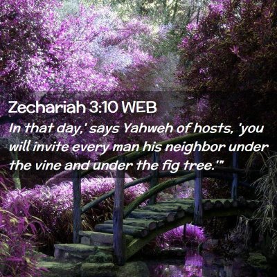 Picture 02 - Zechariah 3:10 WEB - In that day,' says Yahweh of hosts, 'you will - Bible Verse Picture