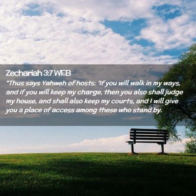 Picture 02 - Zechariah 3:7 WEB - 