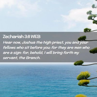 Picture 02 - Zechariah 3:8 WEB - Hear now, Joshua the high priest, you and your - Bible Verse Picture