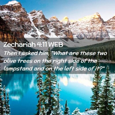 Picture 02 - Zechariah 4:11 WEB - Then I asked him, 