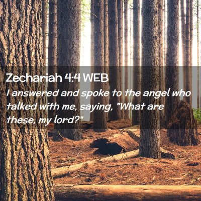 Picture 02 - Zechariah 4:4 WEB - I answered and spoke to the angel who talked with - Bible Verse Picture