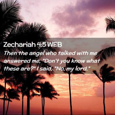 Picture 02 - Zechariah 4:5 WEB - Then the angel who talked with me answered me, - Bible Verse Picture
