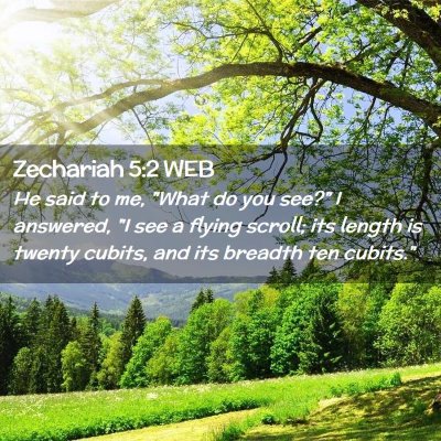 Picture 02 - Zechariah 5:2 WEB - He said to me, 