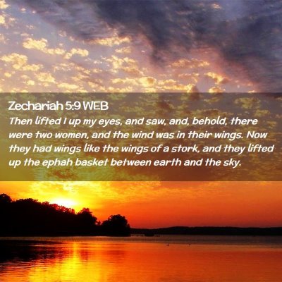 Picture 02 - Zechariah 5:9 WEB - Then lifted I up my eyes, and saw, and, behold, - Bible Verse Picture