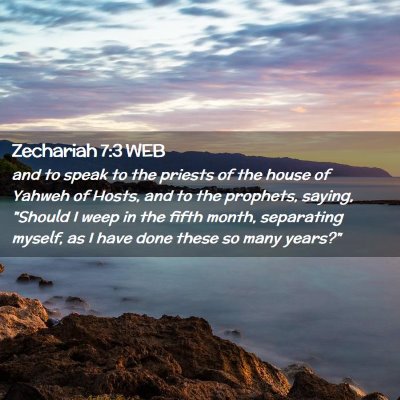Picture 02 - Zechariah 7:3 WEB - and to speak to the priests of the house of - Bible Verse Picture