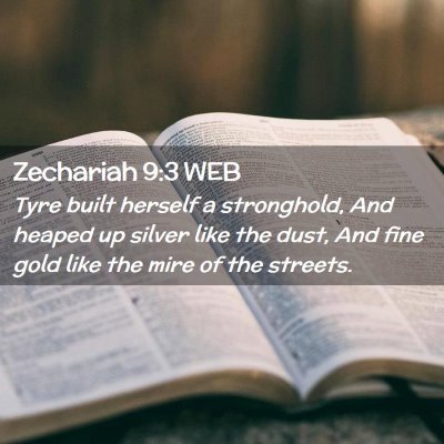 Picture 02 - Zechariah 9:3 WEB - Tyre built herself a stronghold, And heaped up - Bible Verse Picture