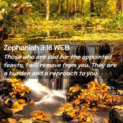 Picture 02 - Zephaniah 3:18 WEB - Those who are sad for the appointed feasts, I - Bible Verse Picture