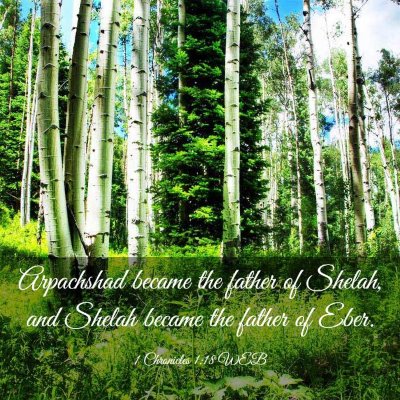 Picture 03 - 1 Chronicles 1:18 WEB - Arpachshad became the father of Shelah, and - Bible Verse Picture