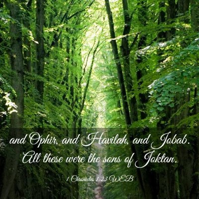 Picture 03 - 1 Chronicles 1:23 WEB - and Ophir, and Havilah, and Jobab. All these were - Bible Verse Picture
