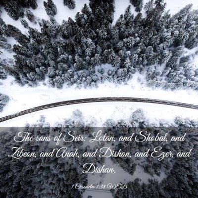 Picture 03 - 1 Chronicles 1:38 WEB - The sons of Seir: Lotan, and Shobal, and Zibeon, - Bible Verse Picture