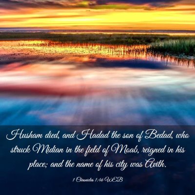 Picture 03 - 1 Chronicles 1:46 WEB - Husham died, and Hadad the son of Bedad, who - Bible Verse Picture
