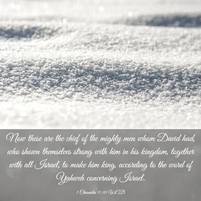 Picture 03 - 1 Chronicles 11:10 WEB - Now these are the chief of the mighty men whom - Bible Verse Picture