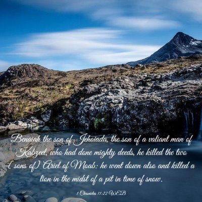 Picture 03 - 1 Chronicles 11:22 WEB - Benaiah the son of Jehoiada, the son of a valiant - Bible Verse Picture