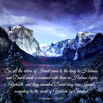 Picture 03 - 1 Chronicles 11:3 WEB - So all the elders of Israel came to the king to - Bible Verse Picture