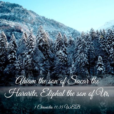 Picture 03 - 1 Chronicles 11:35 WEB - Ahiam the son of Sacar the Hararite, Eliphal the - Bible Verse Picture