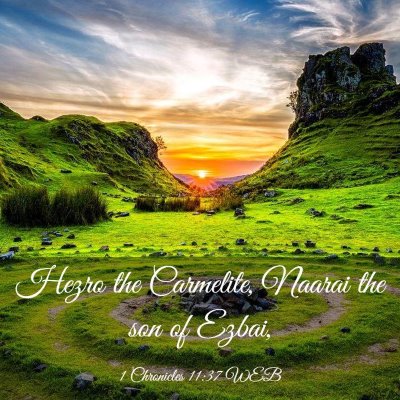 Picture 03 - 1 Chronicles 11:37 WEB - Hezro the Carmelite, Naarai the son of - Bible Verse Picture