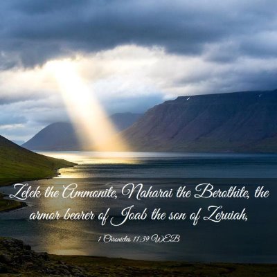 Picture 03 - 1 Chronicles 11:39 WEB - Zelek the Ammonite, Naharai the Berothite, the - Bible Verse Picture