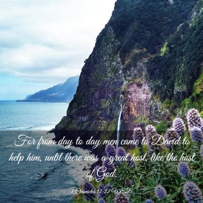 Picture 03 - 1 Chronicles 12:22 WEB - For from day to day men came to David to help - Bible Verse Picture