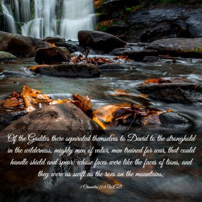 Picture 03 - 1 Chronicles 12:8 WEB - Of the Gadites there separated themselves to - Bible Verse Picture