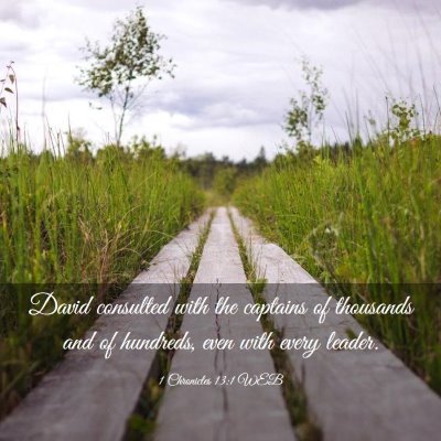 Picture 03 - 1 Chronicles 13:1 WEB - David consulted with the captains of thousands - Bible Verse Picture