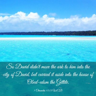 Picture 03 - 1 Chronicles 13:13 WEB - So David didn't move the ark to him into the city - Bible Verse Picture