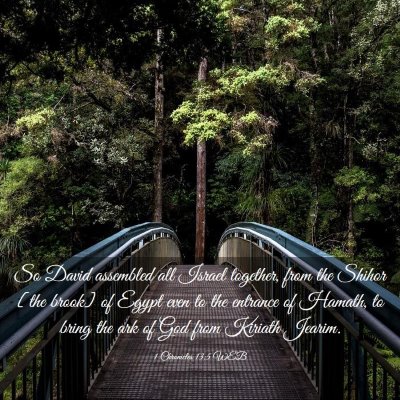 Picture 03 - 1 Chronicles 13:5 WEB - So David assembled all Israel together, from the - Bible Verse Picture