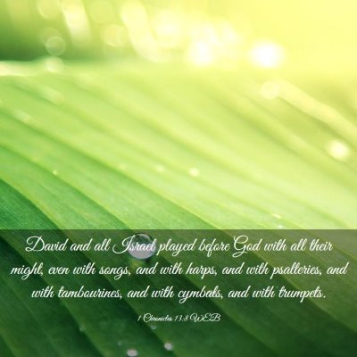 Picture 03 - 1 Chronicles 13:8 WEB - David and all Israel played before God with all - Bible Verse Picture