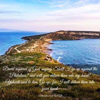 Picture 03 - 1 Chronicles 14:10 WEB - David inquired of God, saying, Shall I go up - Bible Verse Picture