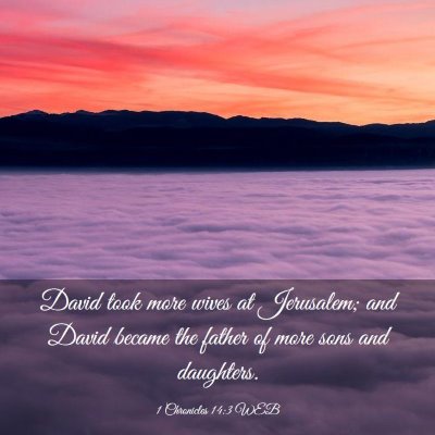 Picture 03 - 1 Chronicles 14:3 WEB - David took more wives at Jerusalem; and David - Bible Verse Picture