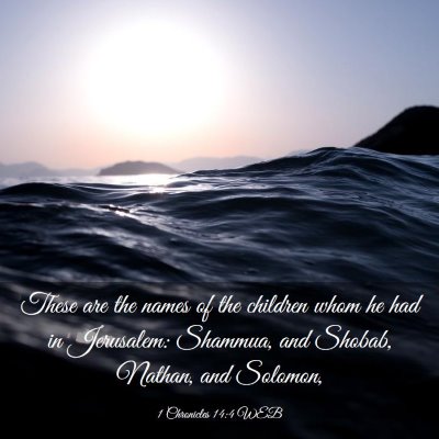 Picture 03 - 1 Chronicles 14:4 WEB - These are the names of the children whom he had - Bible Verse Picture
