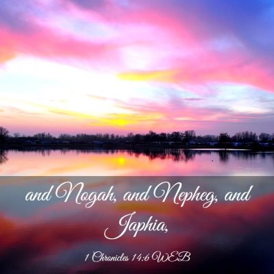 Picture 03 - 1 Chronicles 14:6 WEB - and Nogah, and Nepheg, and - Bible Verse Picture