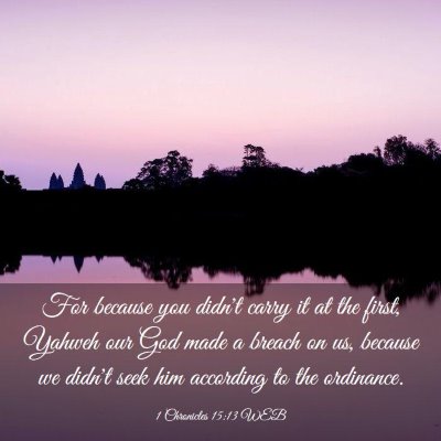 Picture 03 - 1 Chronicles 15:13 WEB - For because you didn't carry it at the first, - Bible Verse Picture