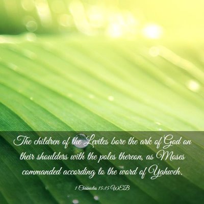 Picture 03 - 1 Chronicles 15:15 WEB - The children of the Levites bore the ark of God - Bible Verse Picture