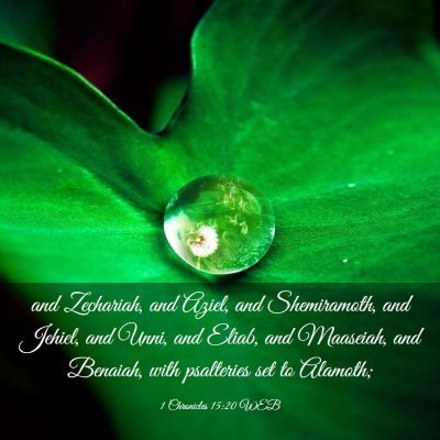 Picture 03 - 1 Chronicles 15:20 WEB - and Zechariah, and Aziel, and Shemiramoth, and - Bible Verse Picture