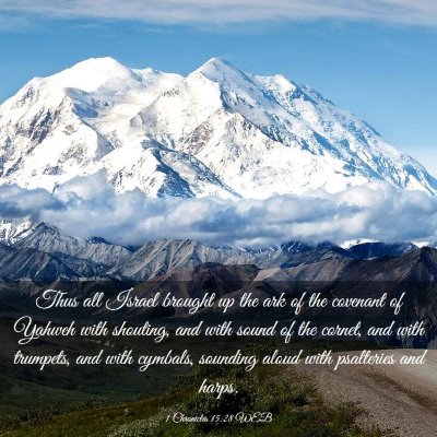 Picture 03 - 1 Chronicles 15:28 WEB - Thus all Israel brought up the ark of the - Bible Verse Picture