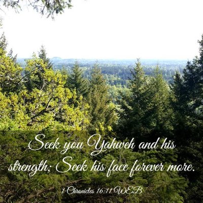 Picture 03 - 1 Chronicles 16:11 WEB - Seek you Yahweh and his strength; Seek his face - Bible Verse Picture