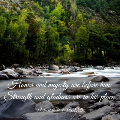 Picture 03 - 1 Chronicles 16:27 WEB - Honor and majesty are before him: Strength and - Bible Verse Picture