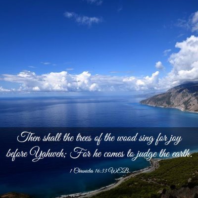 Picture 03 - 1 Chronicles 16:33 WEB - Then shall the trees of the wood sing for joy - Bible Verse Picture