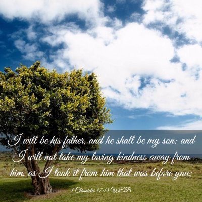Picture 03 - 1 Chronicles 17:13 WEB - I will be his father, and he shall be my son: and - Bible Verse Picture