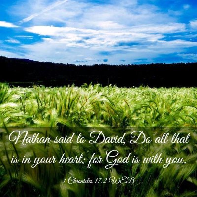 Picture 03 - 1 Chronicles 17:2 WEB - Nathan said to David, Do all that is in your - Bible Verse Picture