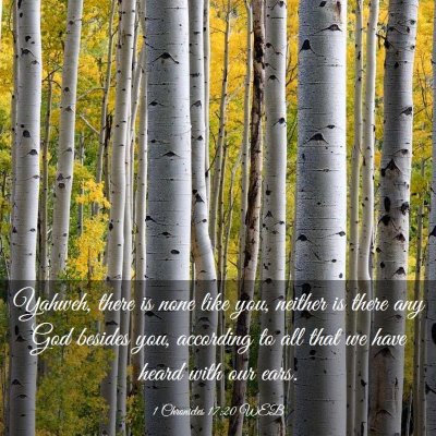 Picture 03 - 1 Chronicles 17:20 WEB - Yahweh, there is none like you, neither is there - Bible Verse Picture