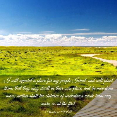 Picture 03 - 1 Chronicles 17:9 WEB - I will appoint a place for my people Israel, and - Bible Verse Picture