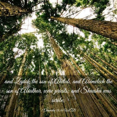 Picture 03 - 1 Chronicles 18:16 WEB - and Zadok the son of Ahitub, and Abimelech the - Bible Verse Picture