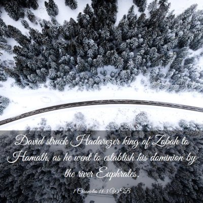 Picture 03 - 1 Chronicles 18:3 WEB - David struck Hadarezer king of Zobah to Hamath, - Bible Verse Picture