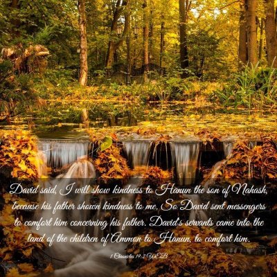 Picture 03 - 1 Chronicles 19:2 WEB - David said, I will show kindness to Hanun the son - Bible Verse Picture