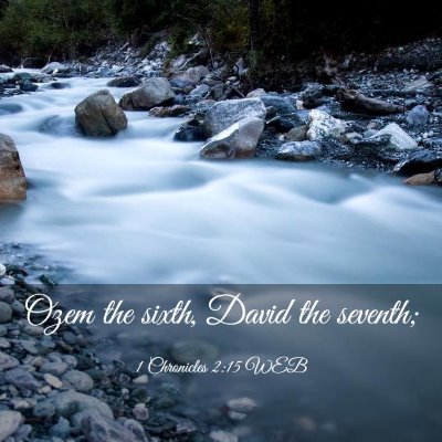 Picture 03 - 1 Chronicles 2:15 WEB - Ozem the sixth, David the - Bible Verse Picture