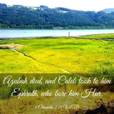 Picture 03 - 1 Chronicles 2:19 WEB - Azubah died, and Caleb took to him Ephrath, who - Bible Verse Picture