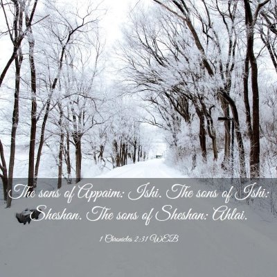 Picture 03 - 1 Chronicles 2:31 WEB - The sons of Appaim: Ishi. The sons of Ishi: - Bible Verse Picture