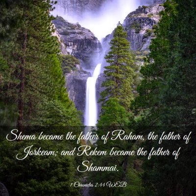 Picture 03 - 1 Chronicles 2:44 WEB - Shema became the father of Raham, the father of - Bible Verse Picture